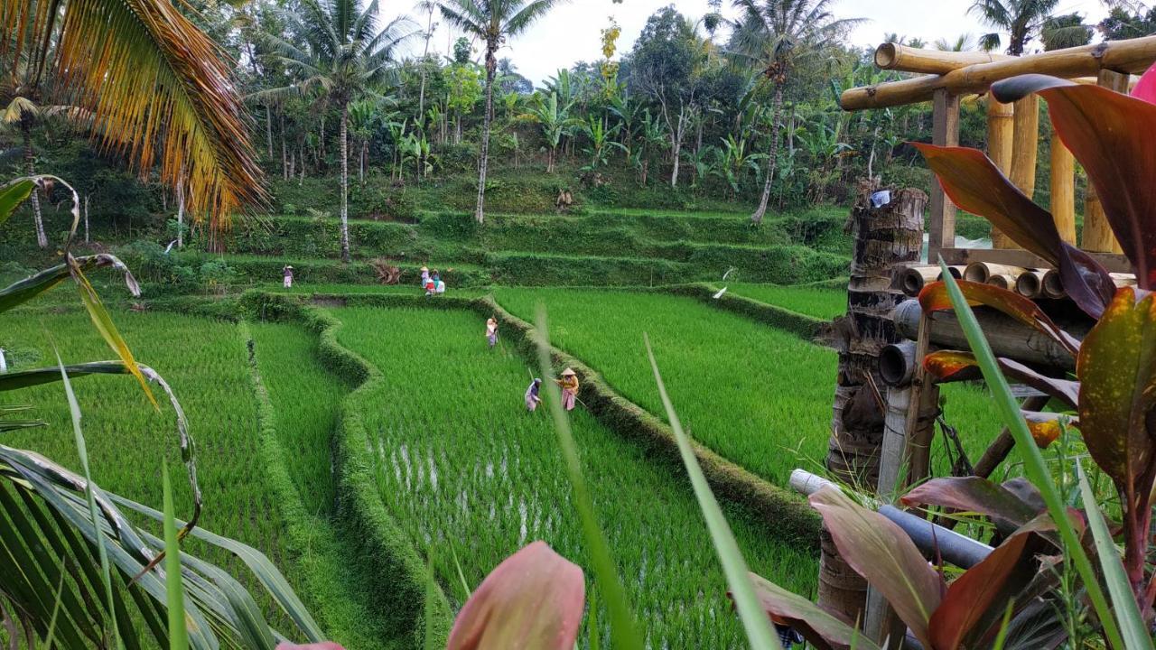 Апартаменти Bale Kembang Kuning Тетебату Екстер'єр фото
